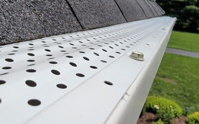 Gutter Guards in Lexington, KY: Do They Actually Work?
