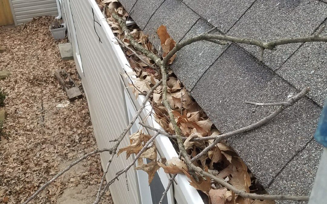 Ultimate Guide: How to Properly Maintain Your Gutters in Lexington, Kentucky | Wildcat Gutters
