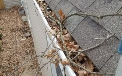 Protect Your Home’s Foundation: The Impact of Clogged Gutters