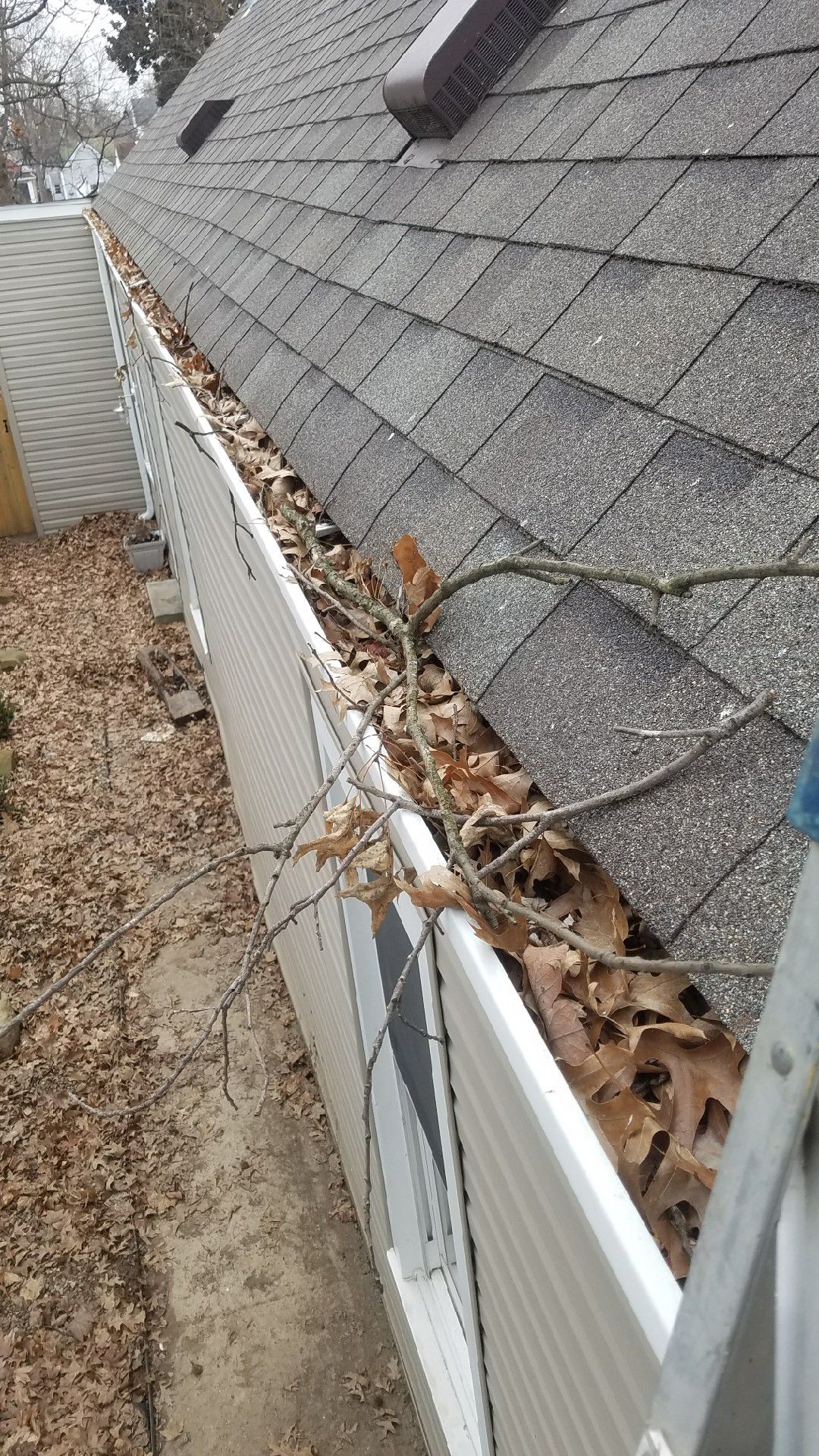 Wildcat Gutters Gutters and more in Lexington KY