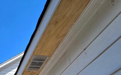 Fascia Board Repair and Replacement from Wildcat Gutters