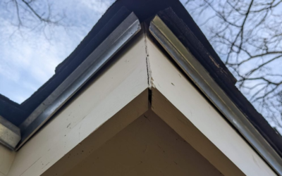 Wooden Fascia Board Repair and Replacement: A Comprehensive Guide by Wildcat Gutters