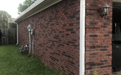 Wildcat Gutters: Shielding Homes in Lexington, Kentucky