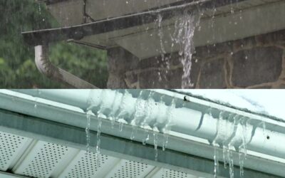 Wildcat Gutters’ Guide to Seasonal Gutter Maintenance in Lexington, KY: Preparing for the Changing Weather